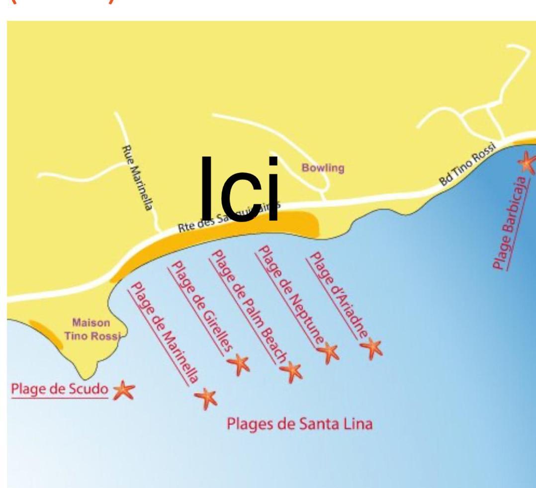 Superbe Pieds Dans L Eau Ajaccio Face A La Mer Plage De Sable Fin Route Des Iles Des Sanguinaires Екстериор снимка